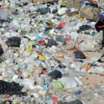 Eliminación de basurales y economía circular: los ejes de la nueva ley de residuos que ya rige en la provincia