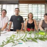 Los árboles como energía alternativa