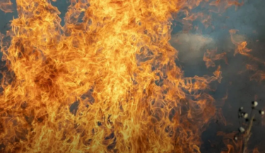 FireShot Capture 4080 - Incendios y cambios legales amenazan 64.000 ha en Argentina ponien_ - [noticiasambientales.com]